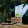 Indian Incense - Lemongrass & Mint