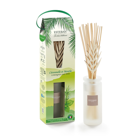 Bouquet Perfumado Initial 100ml - Citronela e Menta