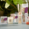Fragrance Refill for Bouquet 250ml - Garrigue Fig Tree