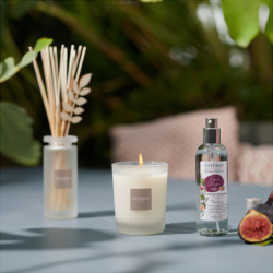 Spray 100ml - Garrigue Fig Tree
