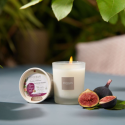Refill for Scented Candle 180gr - Garrigue Fig Tree