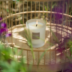 Refill for Scented Candle 180gr - Garrigue Fig Tree