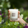 Scented Candle 180gr - Lotus and Sweet Almond