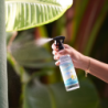 Scented Mist Home/Textiles Spray 250ml - Monoï and Moringa
