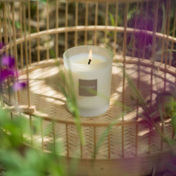 Scented Candle 180gr - Lotus and Sweet Almond