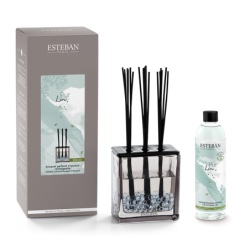 Scented Bouquet Triptyque 250ml - Pure Linen