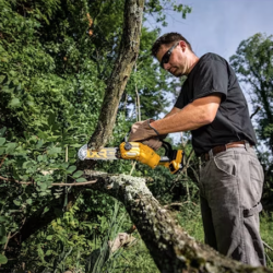 DEWALT  XR 18V Brushless Pruning Saw with 5Ah Li-Ion Battery