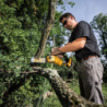 Serra de Podar sem Escovas XR 18V com uma Bateria Li-Ion 5Ah DEWALT