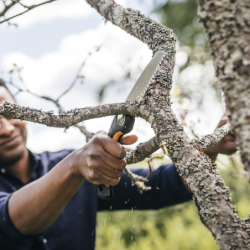 Serra Jardim Plus SW68 FISKARS
