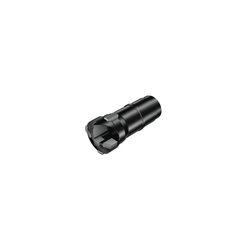 Cabeça STS 424.6-1024D 63 Cabeça STS 424.6-1024D 63
