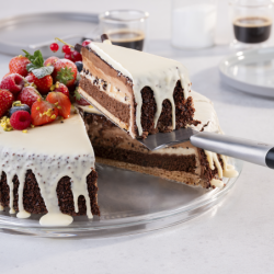 Cake Server with Serrated Blade - Primeline