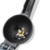 Citrus Press - Lemon Duo