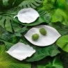Leaf Plate 23,2Cm - Leafs