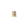 Pot Brush Beech - Inu