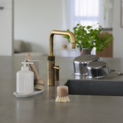 Pot Brush Beech - Inu