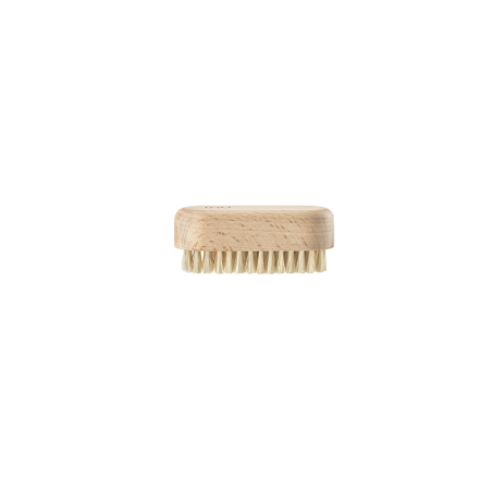 Vegetable Brush Beech - Inu