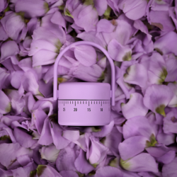 Kitchen Timer Lupine - Singles