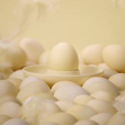 4 Egg Cups with Holder Limestone - Singles