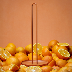 Kitchen Roll Holder Apricot - Singles