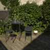 Lamp Black 22cm - Harvest Moon