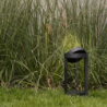 Linterna LED 30cm Negro - Firefly