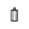Linterna 25cm Negro - Firefly