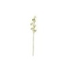 Artificial Spin Clotbur Twig 53cm - Deko