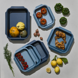Conjunto de 3 Assadeiras Azul - Nest Oven