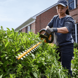 Cortasetos XR FLEXVOLT de 54 V con Espacio de 31 mm - Unidad Desnuda DEWALT