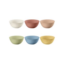 Set of 6 Bowls Assorted - Tierra