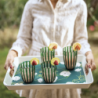 Rectangular Tray with Handle - Fusión