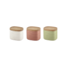 Set of 3 Storage Jars Assorted - Tierra