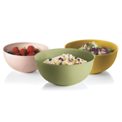Set of 3 Containers with Lid Assorted - Everywhere Bio