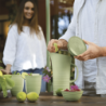 Pitcher with Lid Light Green - Tierra