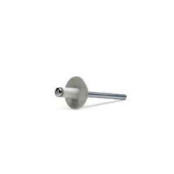 BRALO Standard White Wide Head Rivet 4x12mm