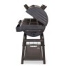 Duo Hybrid Grill