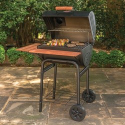BARBECUE CHARCOAL WRANGLER