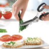 Herb Scissors - Cutare