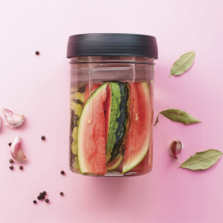 FERMENTATION SET NATIVO