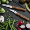 Peeling Knife 6cm - Hummeken