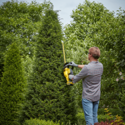 STANLEY V20 Li-Ion 18V Battery Hedge Trimmer