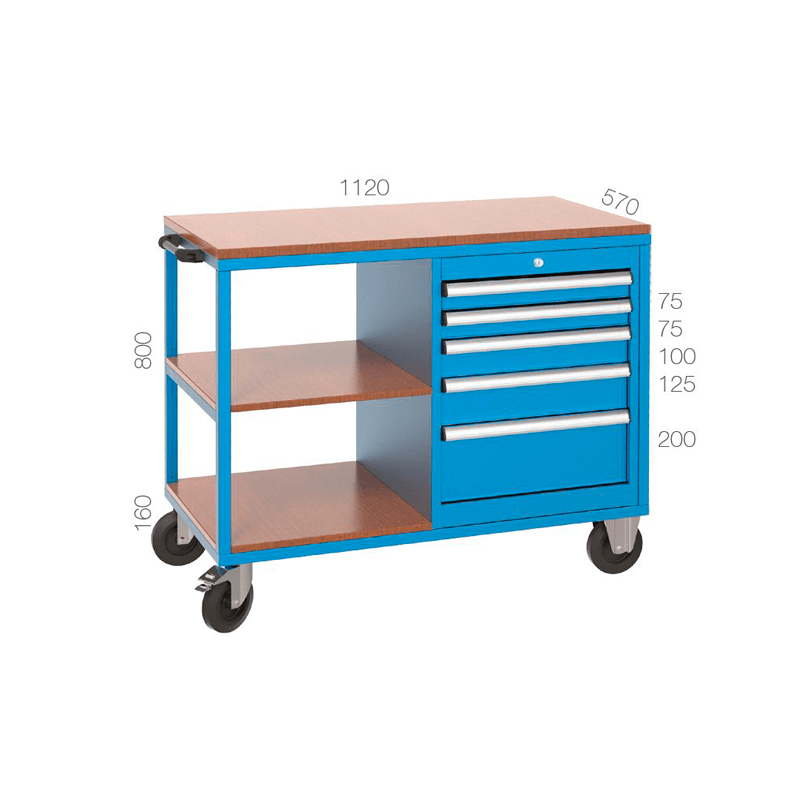 CHEMITOOL Mobile Workbench with 5 Drawers y 2 Shelves