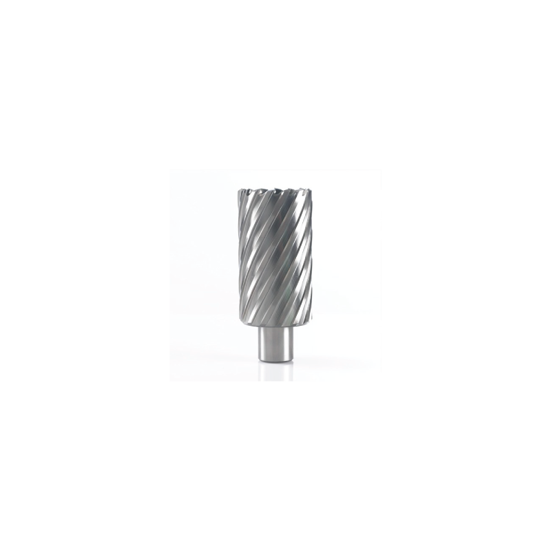 BROCA CRANEANA HSS Ø21X100MM