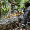 DEWALT 54V XR FLEXVOLT 45cm High Powered Chainsaw