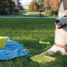 Organizador de Viagem Animais de Estimação Verde - Petnic