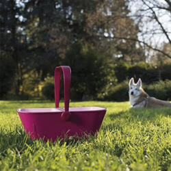 Travel Organizer for Pets Pomegranate - Petnic