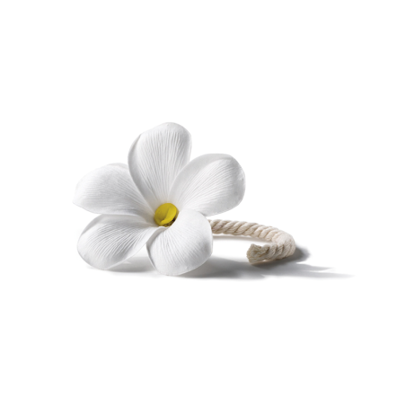RECARGA FLOR DE PERFUME