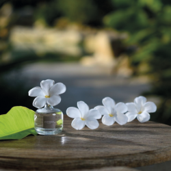 RECARGA FLOR DE PERFUME