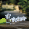 RECARGA FLOR DE PERFUME