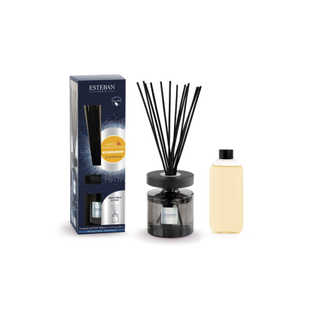 Scented Bouquet and Refill 200ml Amber & Starry Vanilla